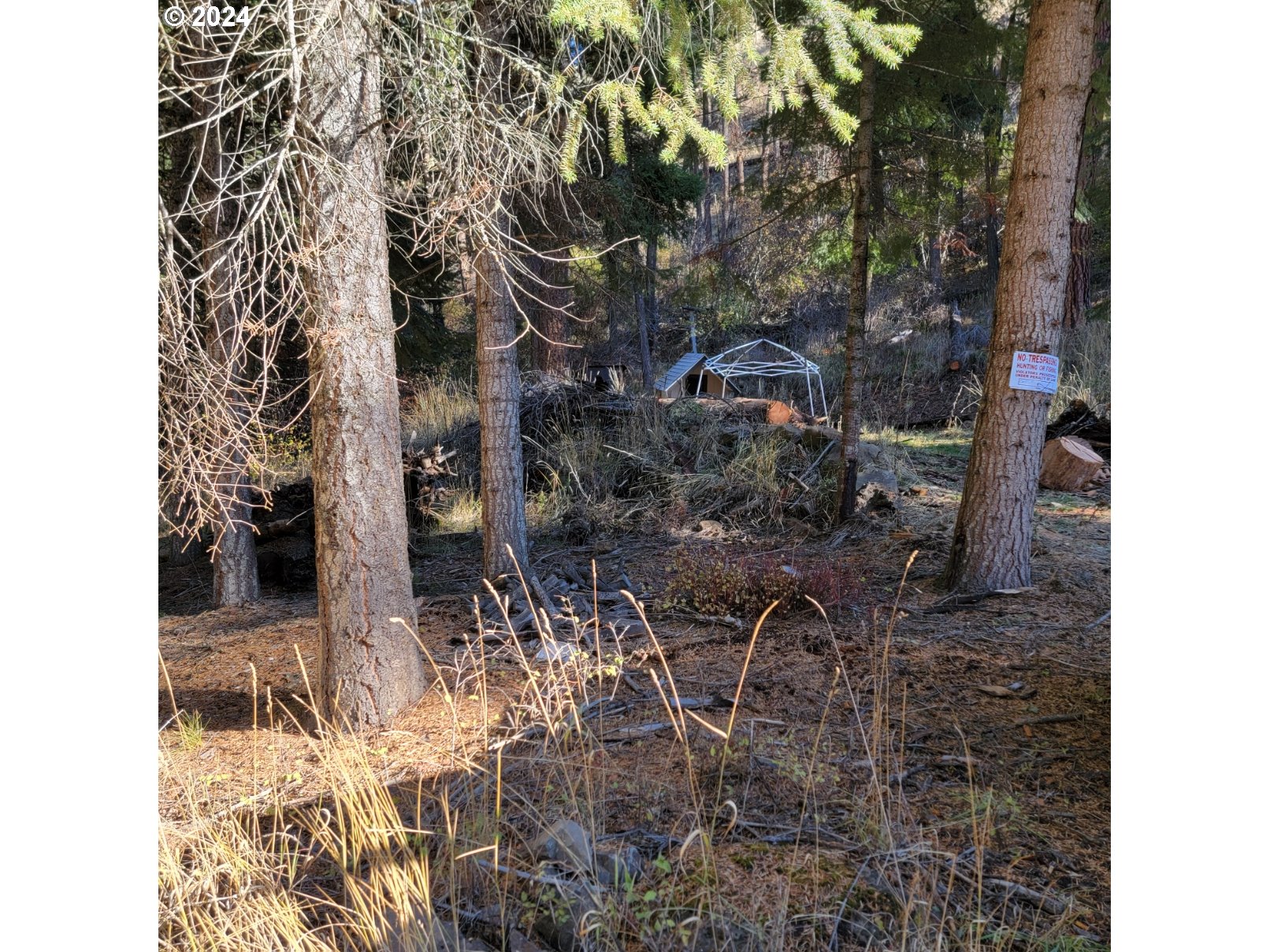 River Canyon Rd Tl 900 Property Photo 7
