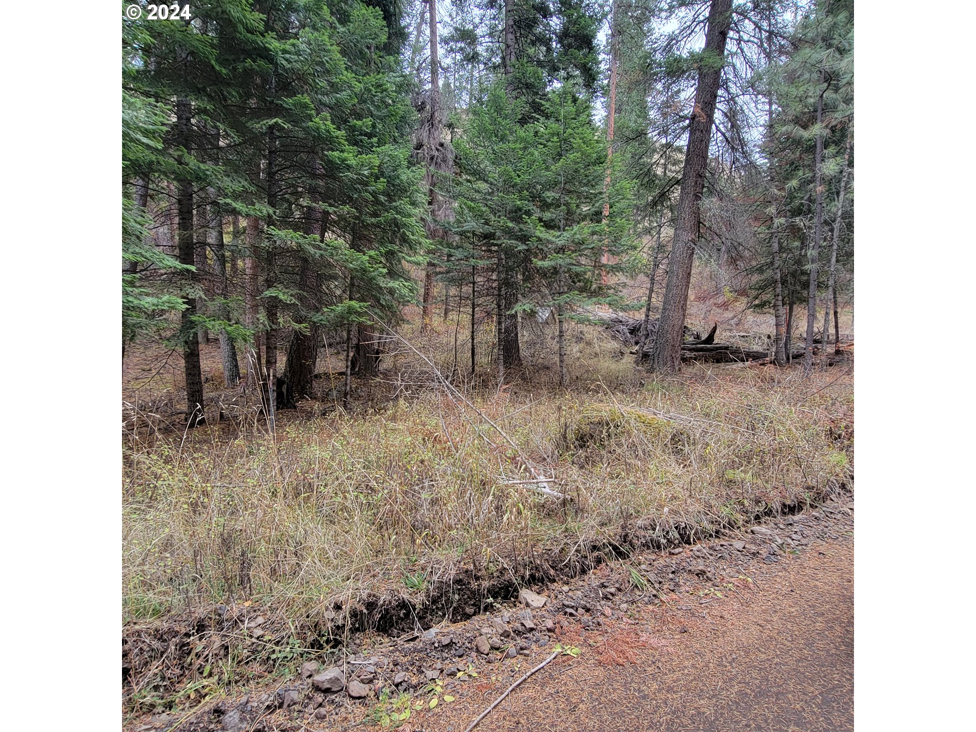 River Canyon Rd Tl 900 Property Photo 9
