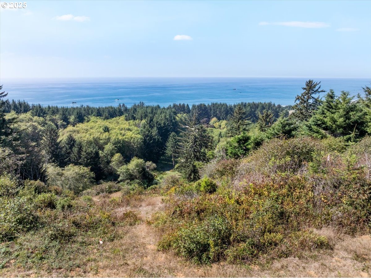 14339 Highway 101 Property Photo 32