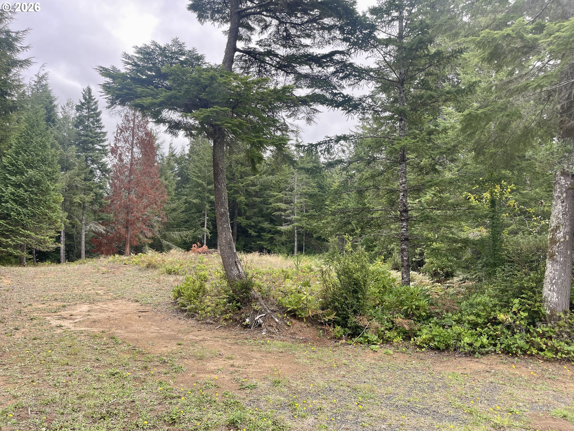 Sandpoint Rd Lot 11 Property Photo 16