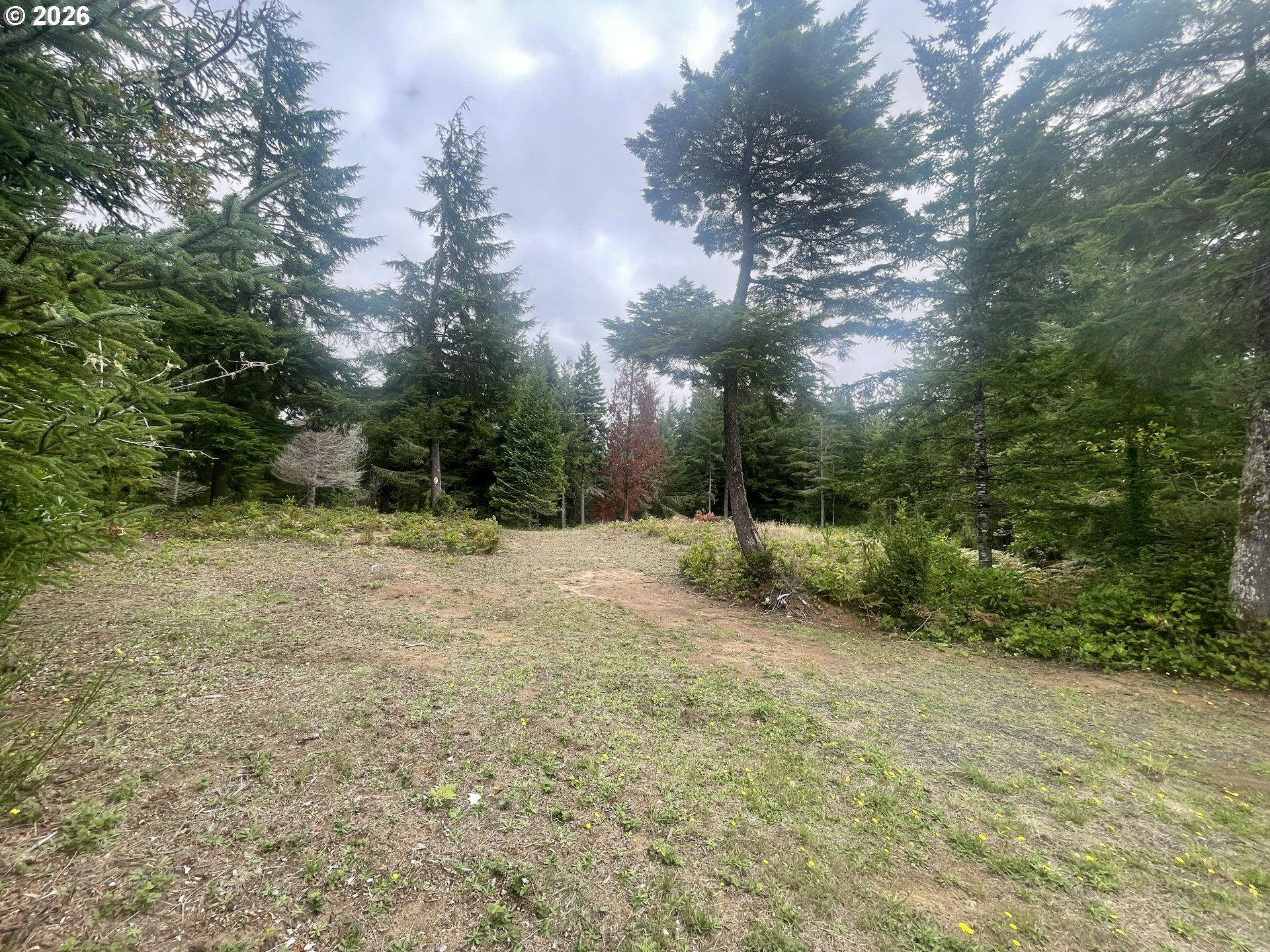 Sandpoint Rd Lot 11 Property Photo 18