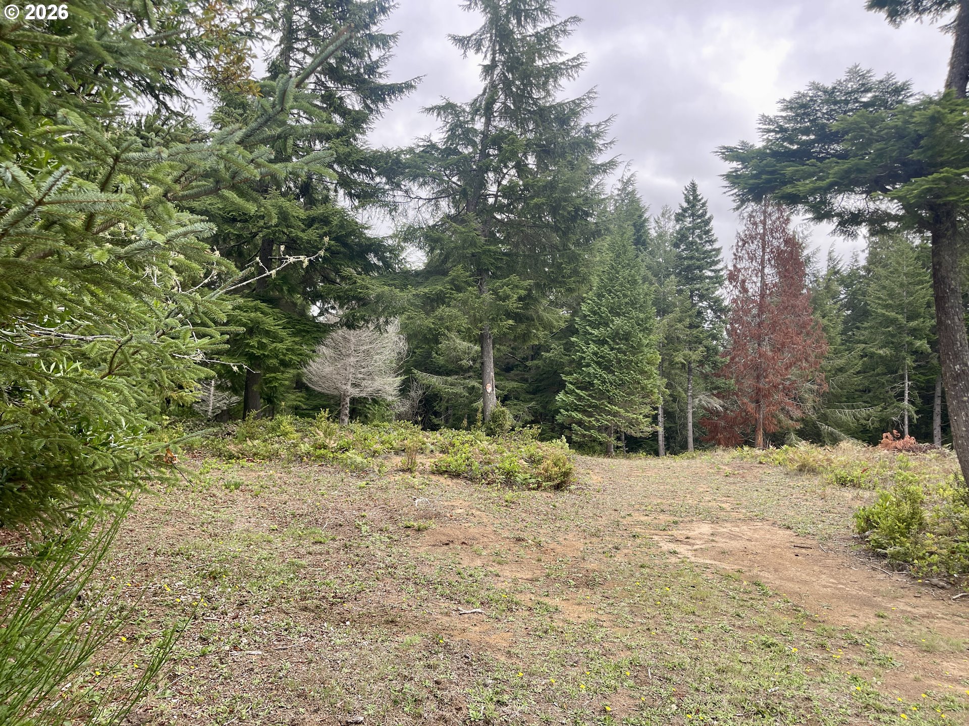 Sandpoint Rd Lot 11 Property Photo 19