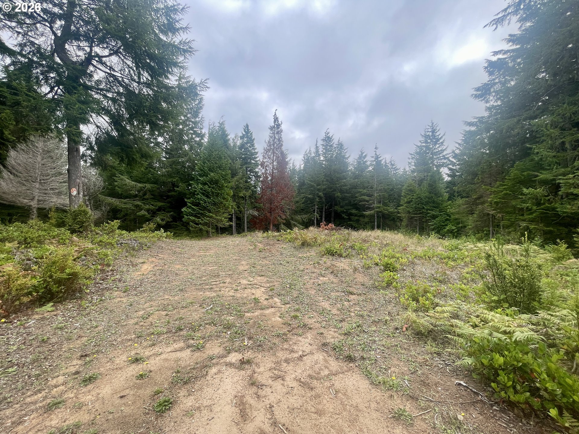 Sandpoint Rd Lot 11 Property Photo 21