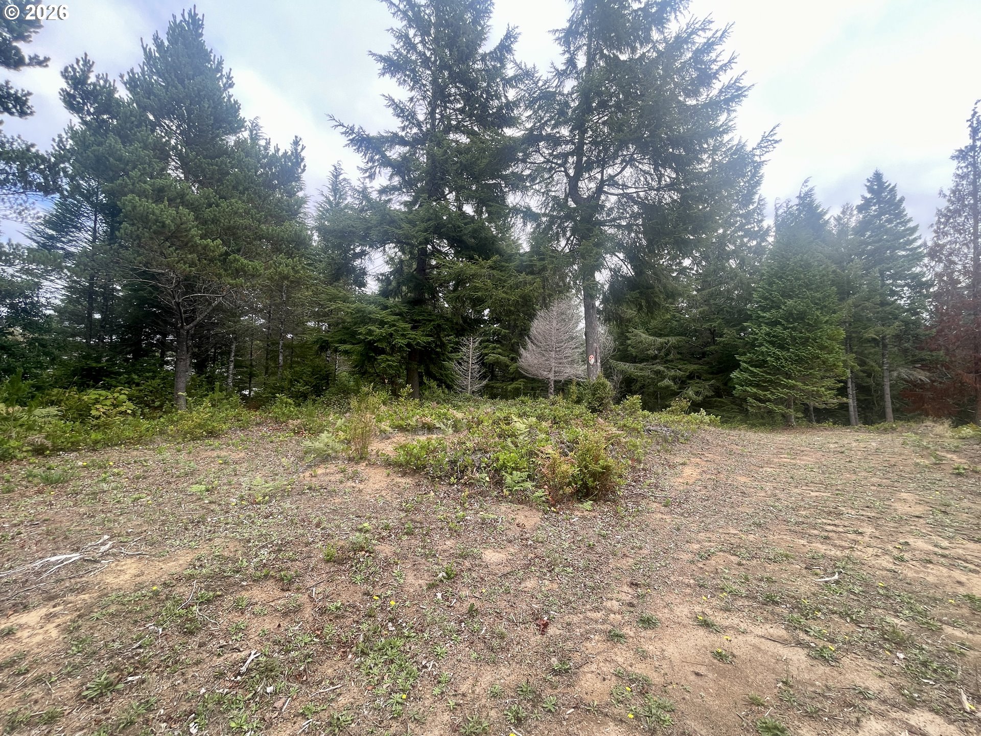 Sandpoint Rd Lot 11 Property Photo 22