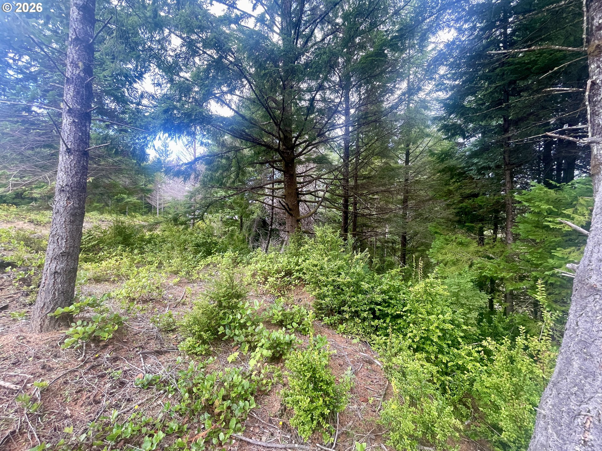 Sandpoint Rd Lot 11 Property Photo 23