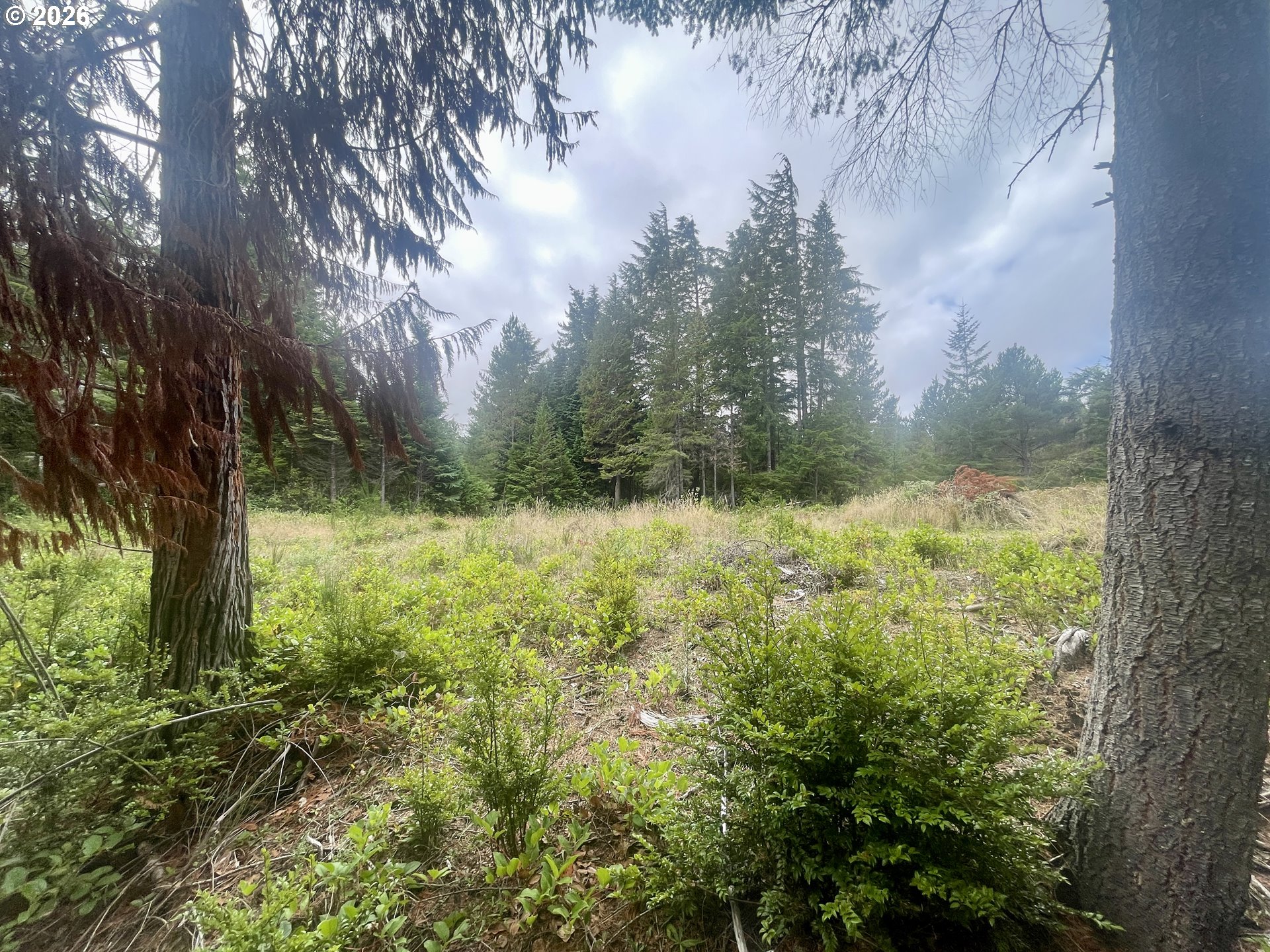 Sandpoint Rd Lot 11 Property Photo 25