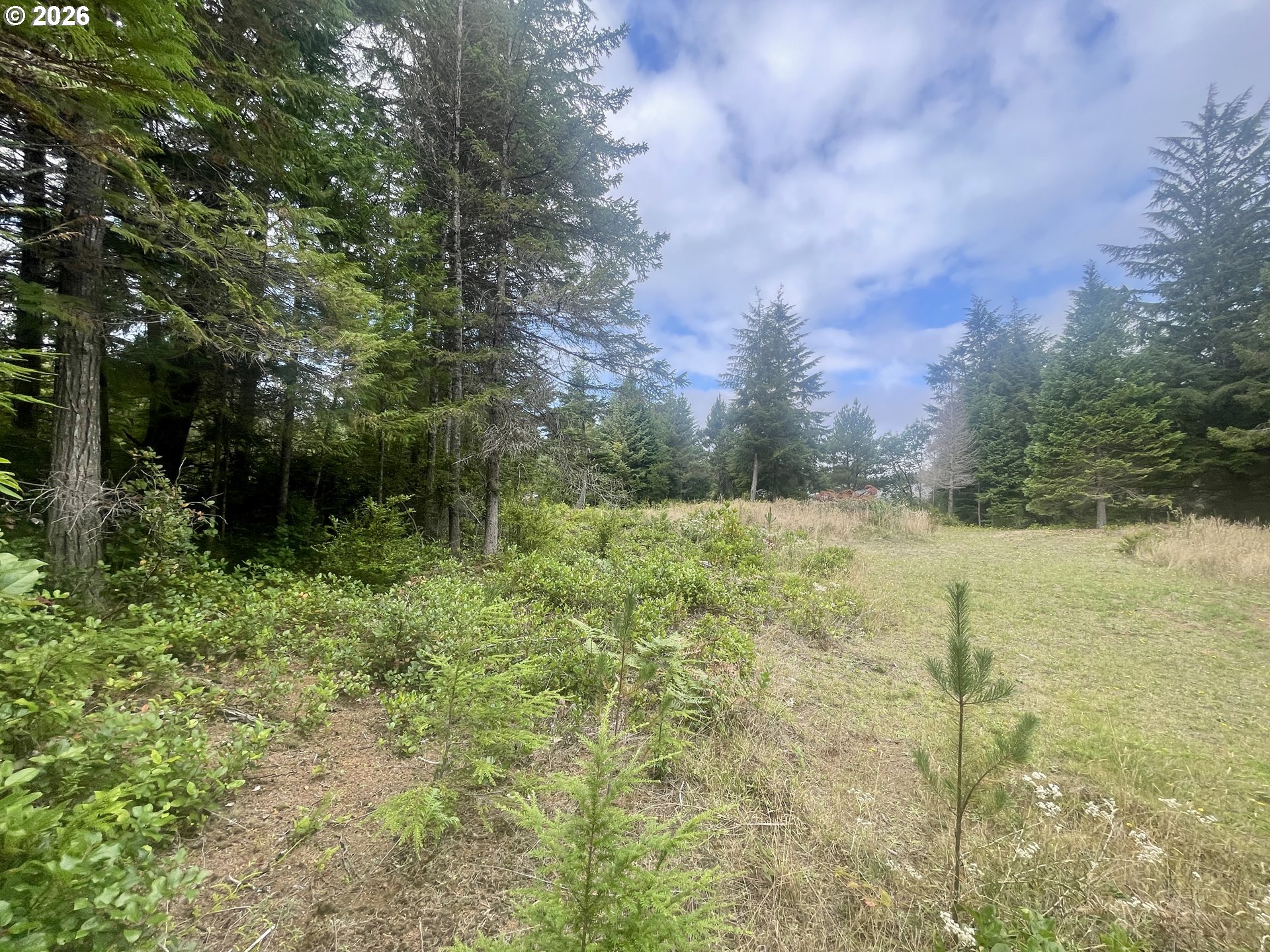 Sandpoint Rd Lot 11 Property Photo 26