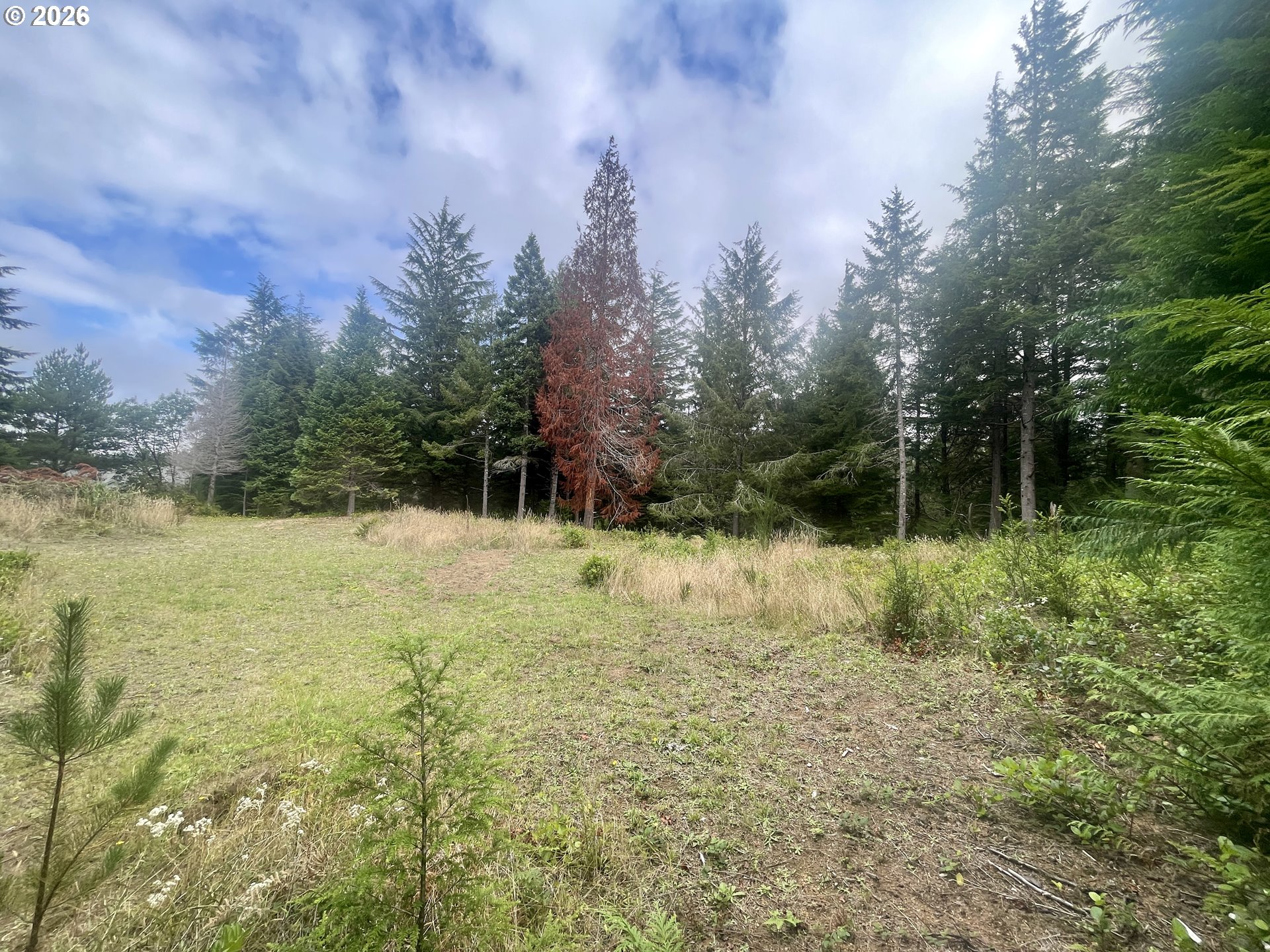 Sandpoint Rd Lot 11 Property Photo 27