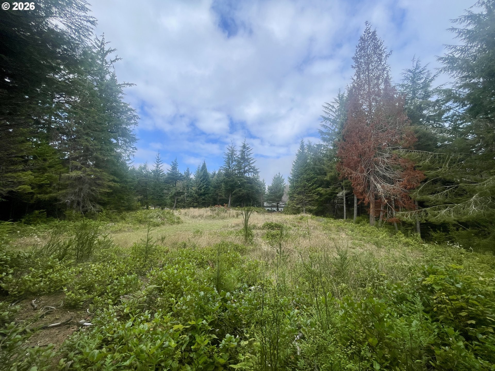 Sandpoint Rd Lot 11 Property Photo 28
