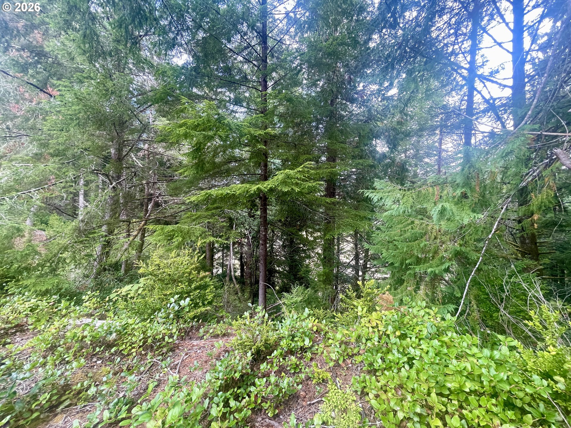 Sandpoint Rd Lot 11 Property Photo 29