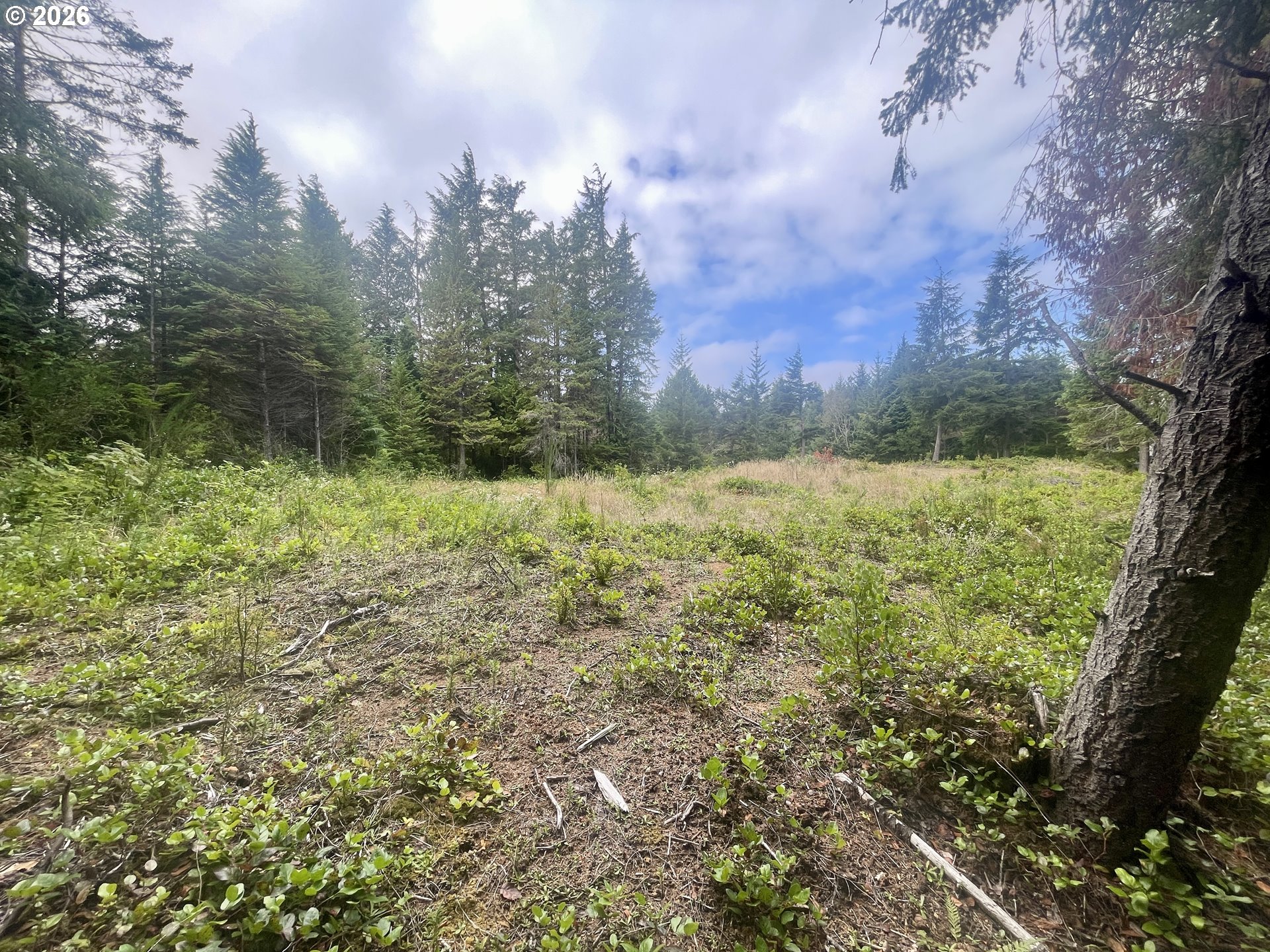 Sandpoint Rd Lot 11 Property Photo 30
