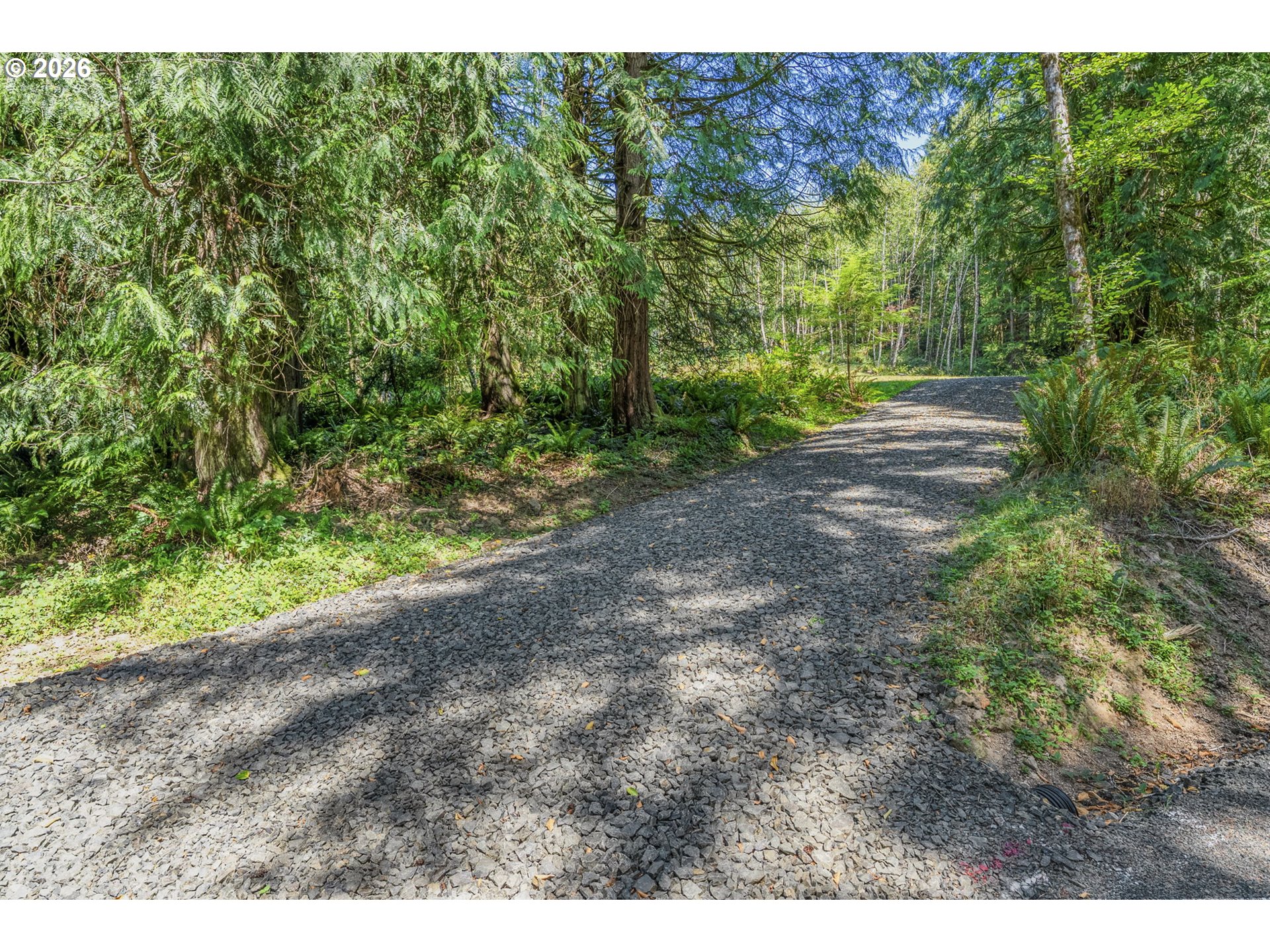 0 Old Tree Farm Dr A Property Photo 2
