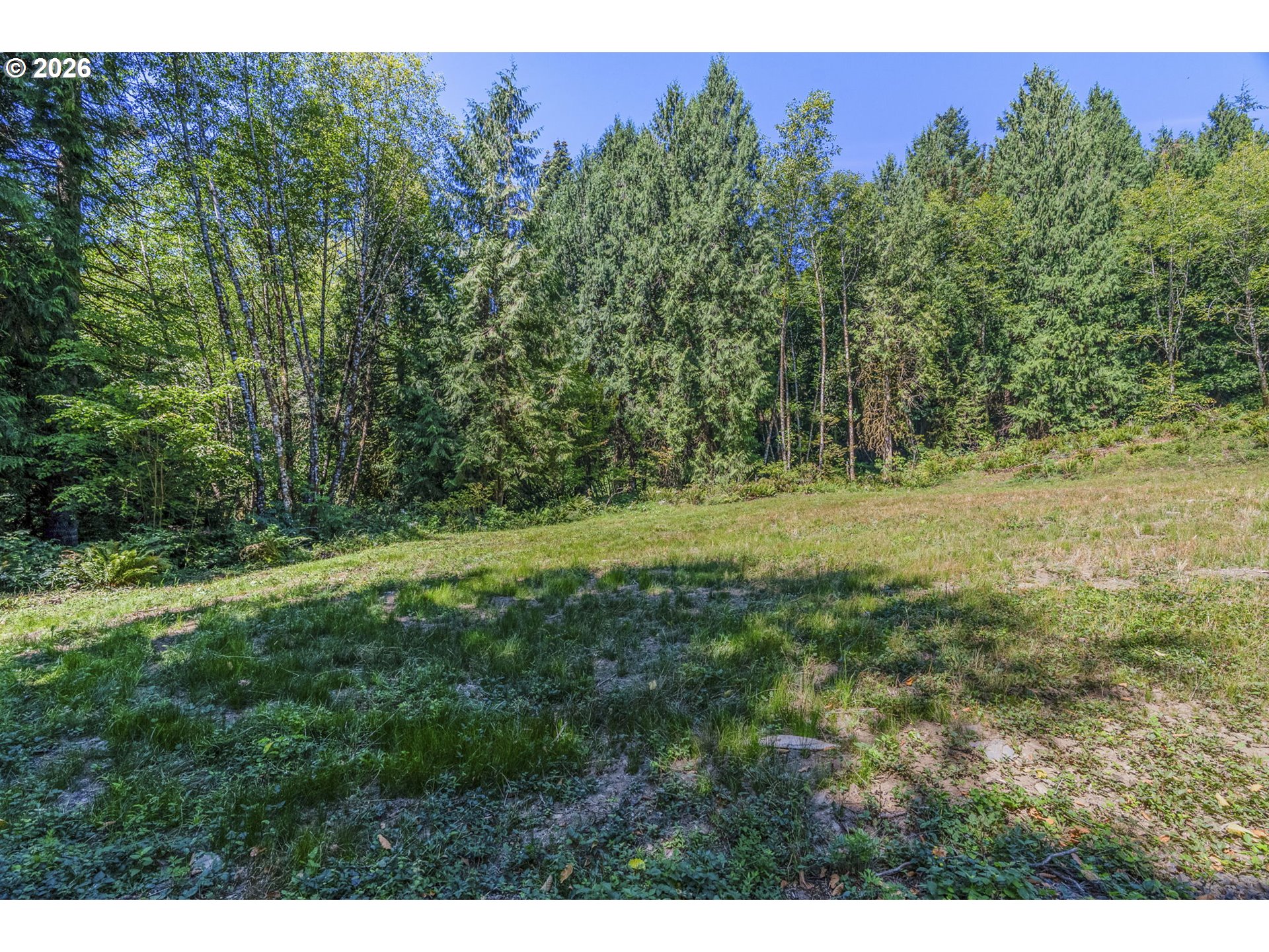 0 Old Tree Farm Dr A Property Photo 3