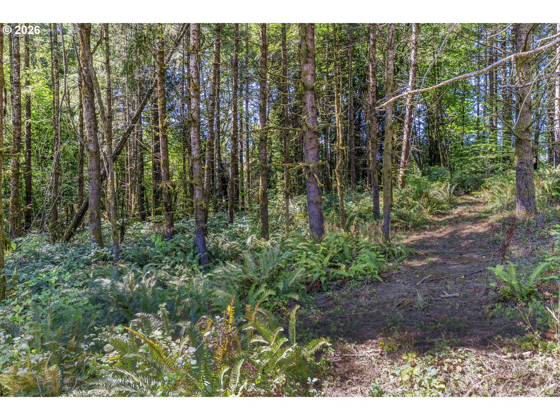 0 Old Tree Farm Dr A Property Photo 4