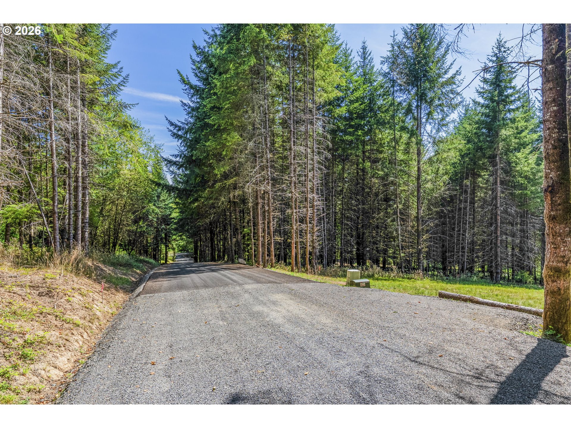0 Old Tree Farm Dr A Property Photo 6