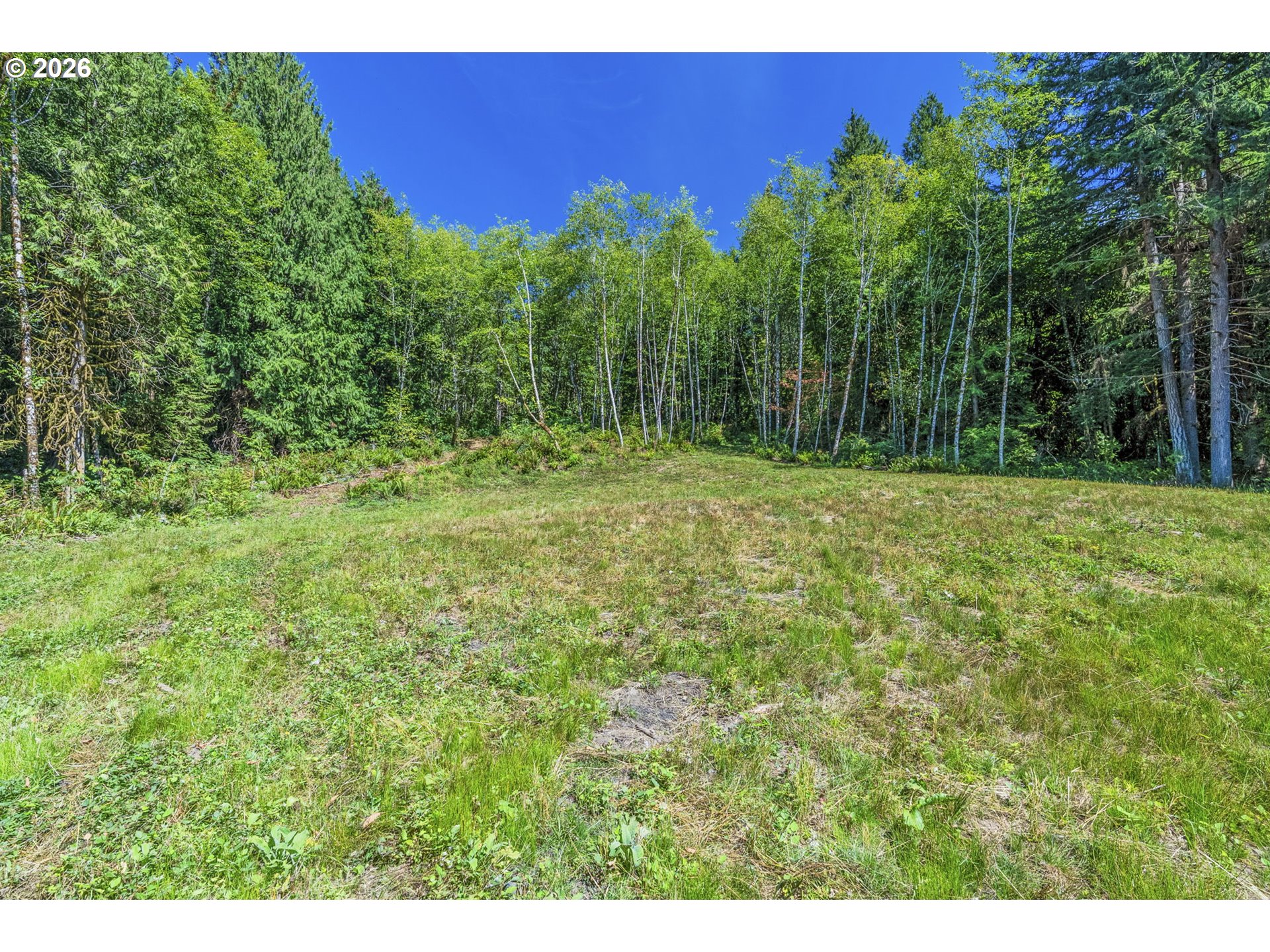0 Old Tree Farm Dr A Property Photo 10