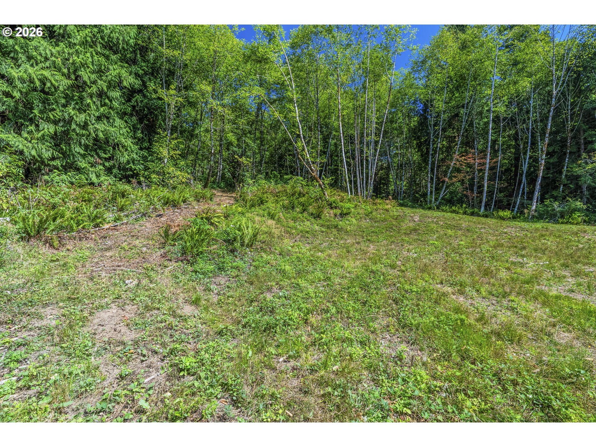 0 Old Tree Farm Dr A Property Photo 11