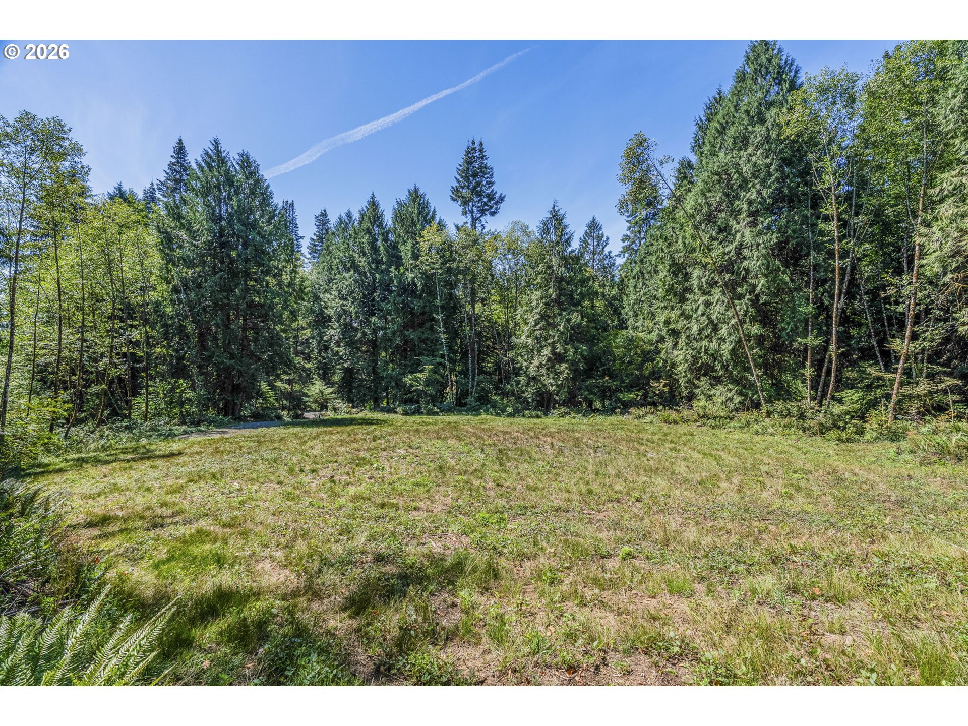 0 Old Tree Farm Dr A Property Photo 12
