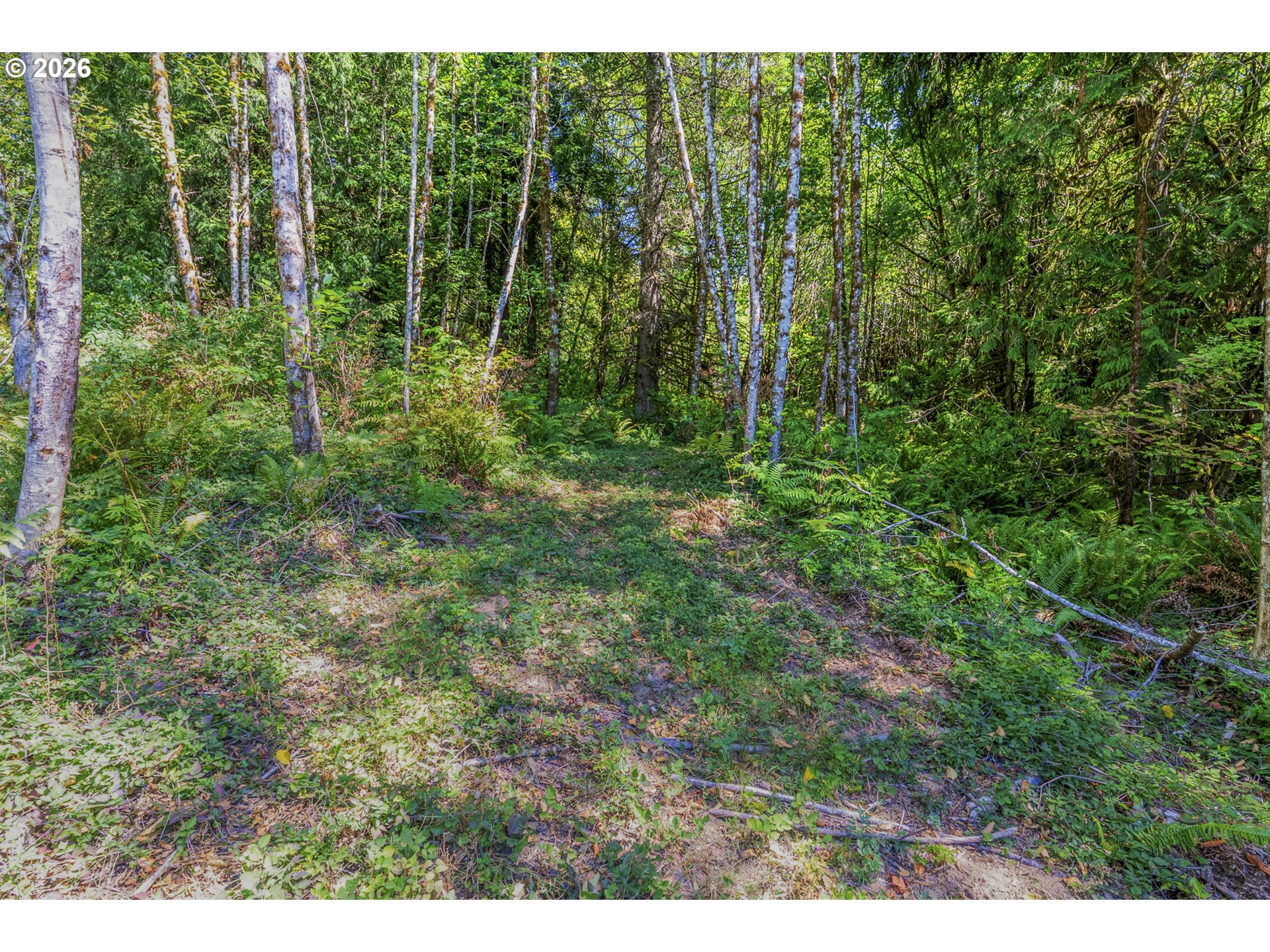 0 Old Tree Farm Dr A Property Photo 13