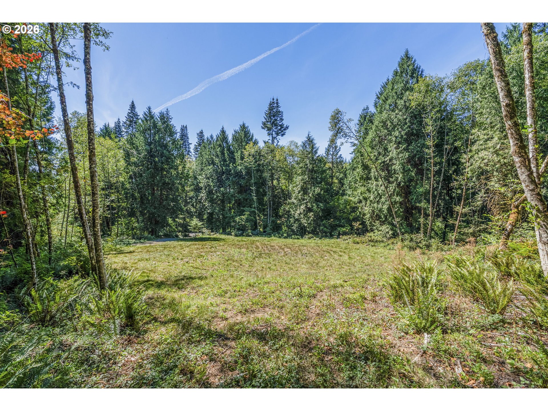 0 Old Tree Farm Dr A Property Photo 14
