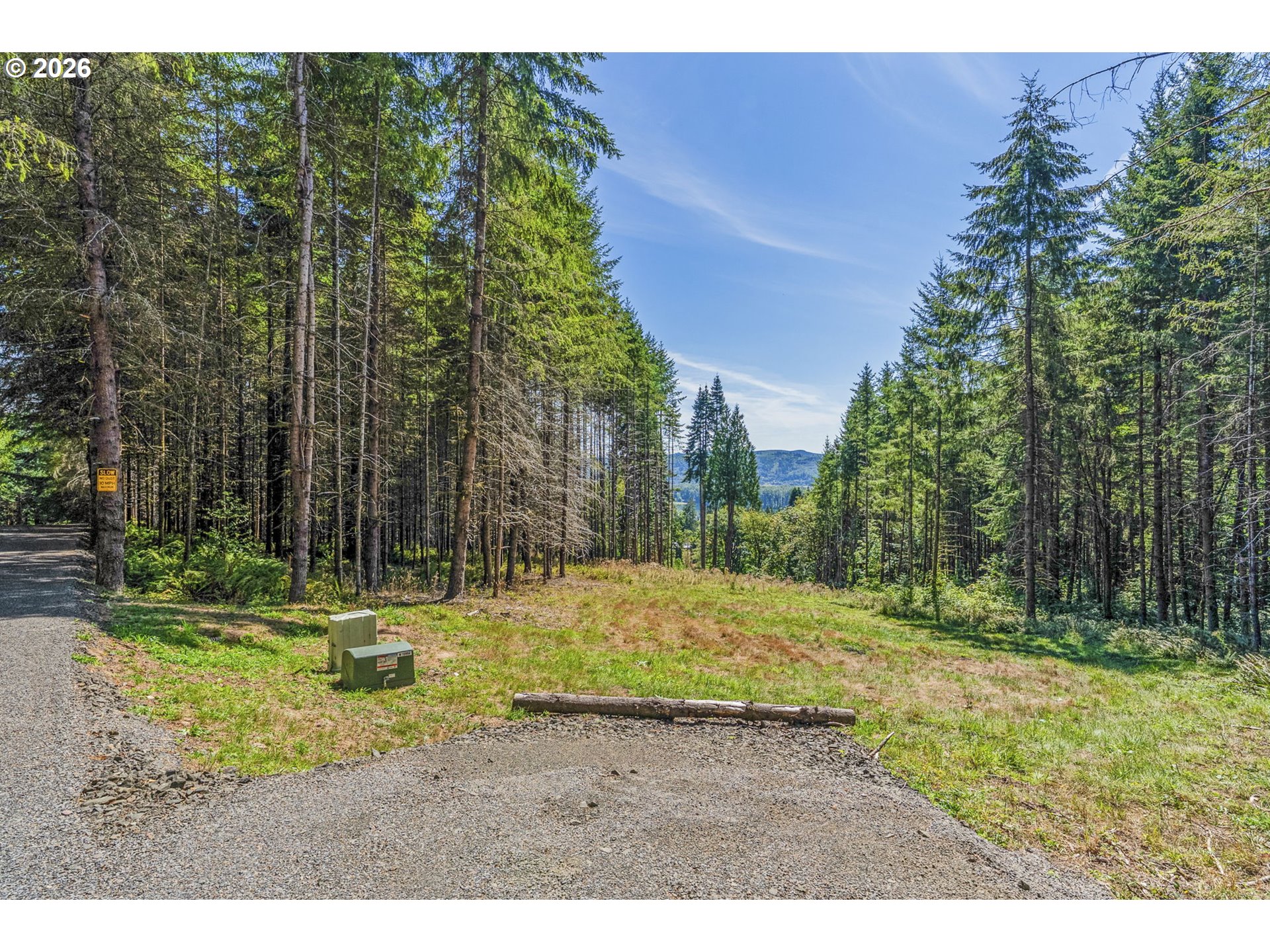 0 Old Tree Farm DR 1 Property Photo 1