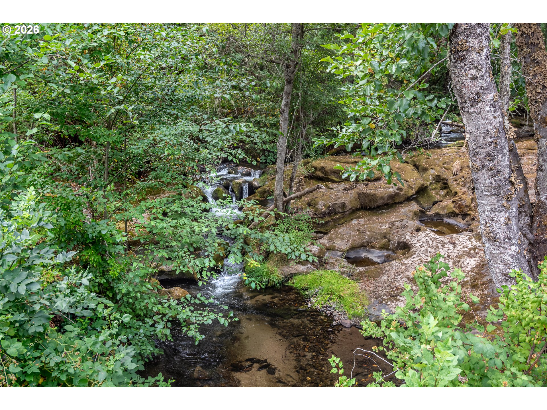 2929 Little River Rd Property Photo 27