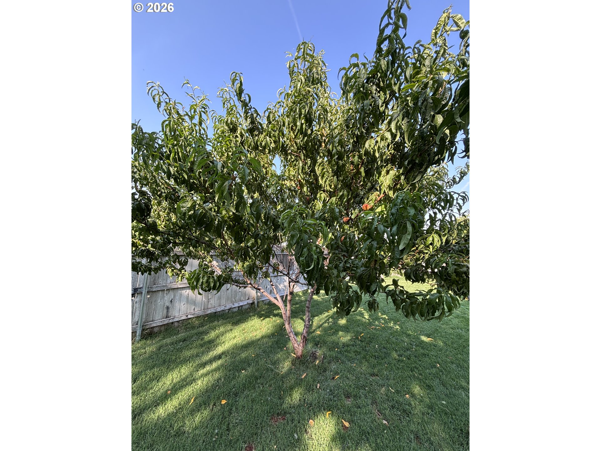 308 Sw Faler Rd Property Photo 22