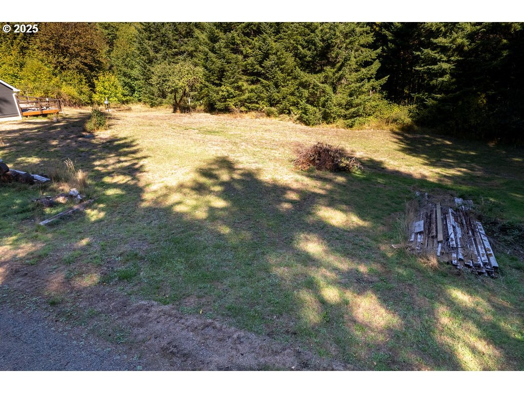 35349 Blitz Ln Property Photo 33