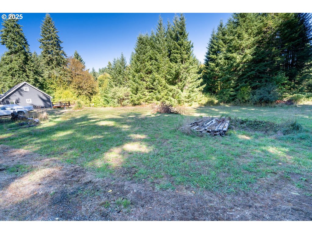 35349 Blitz Ln Property Photo 34