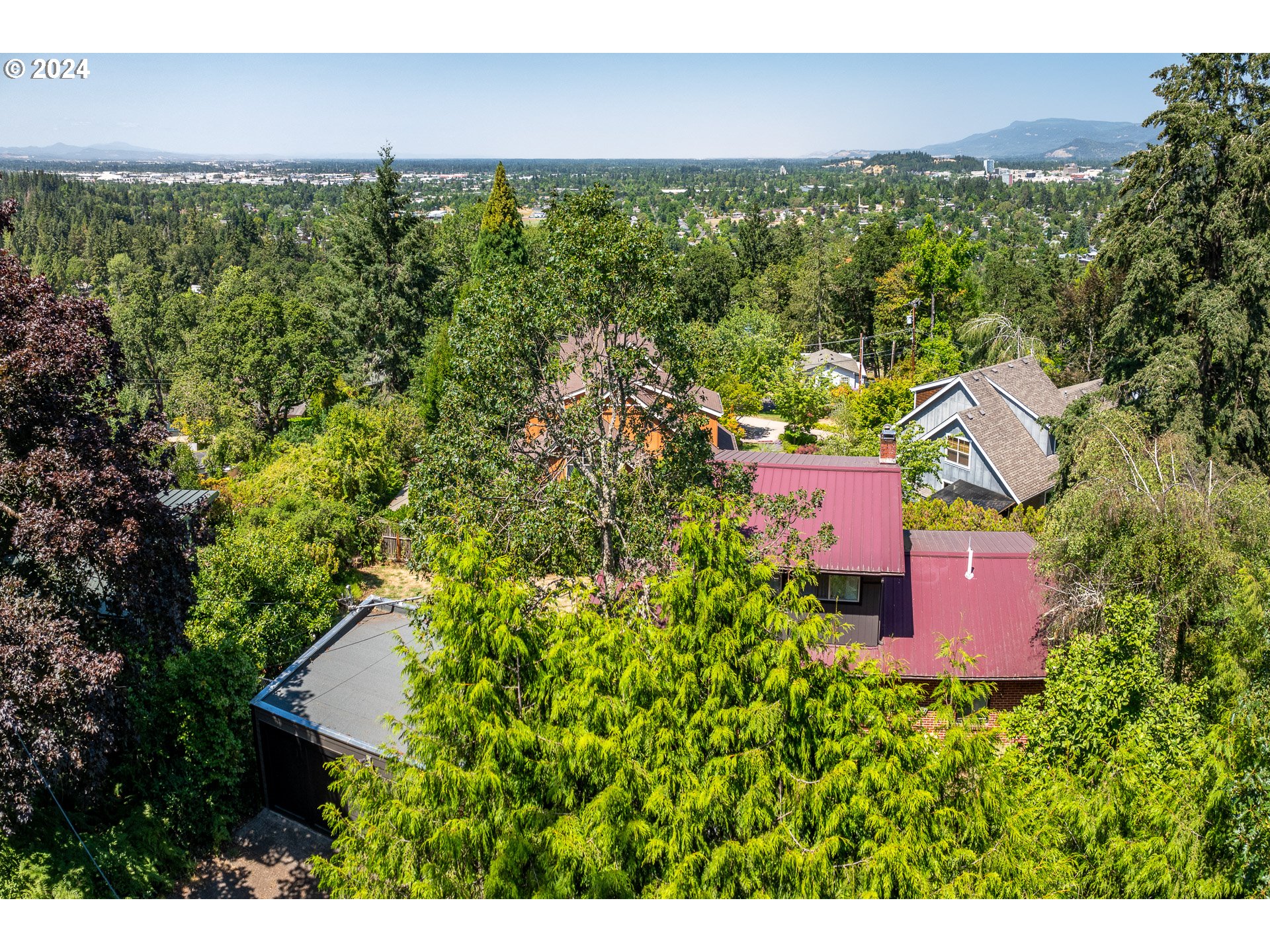 1151 Lorane Hwy Property Photo 44