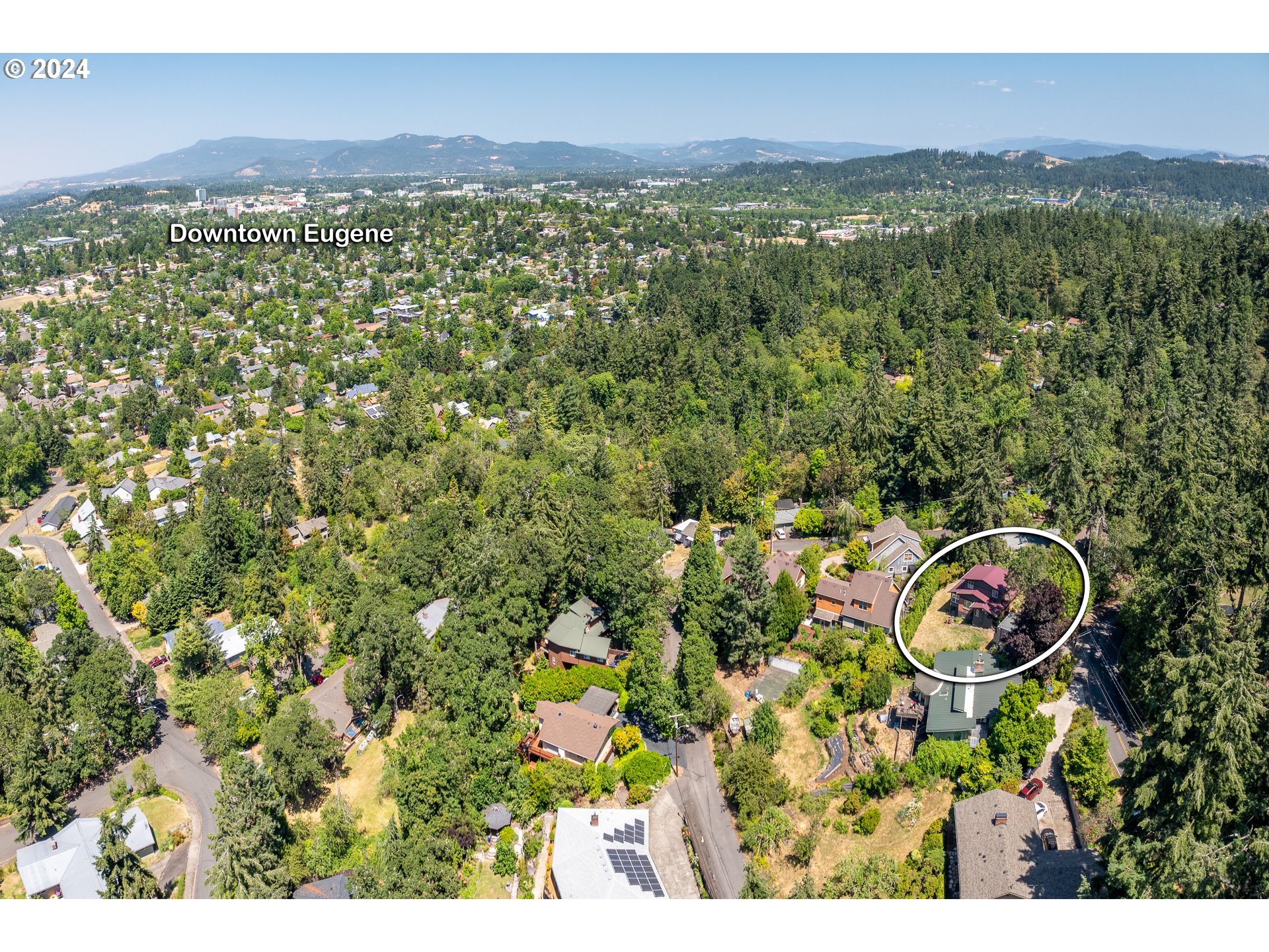 1151 Lorane Hwy Property Photo 45