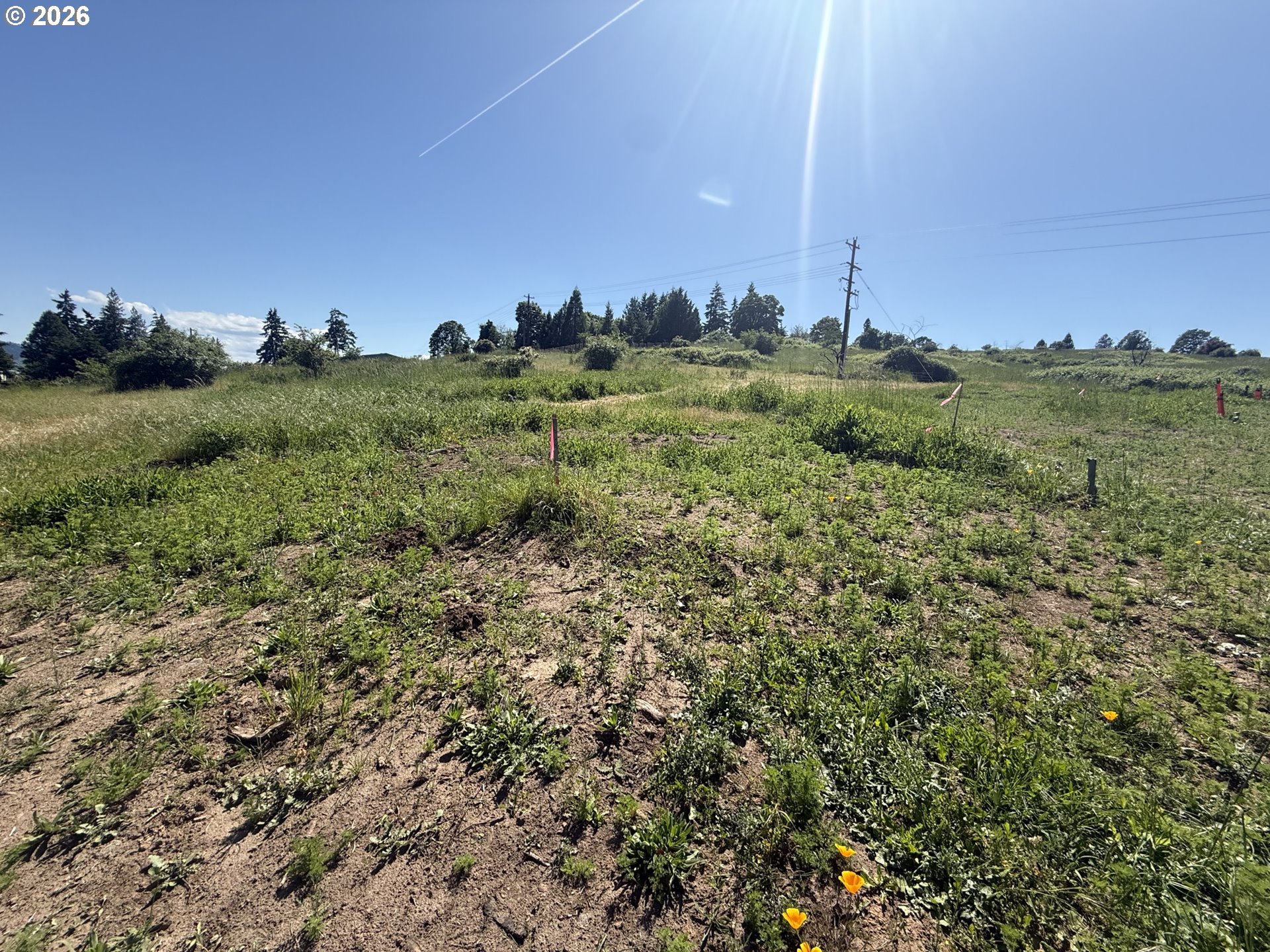 1150 N Main Ave Property Photo 3
