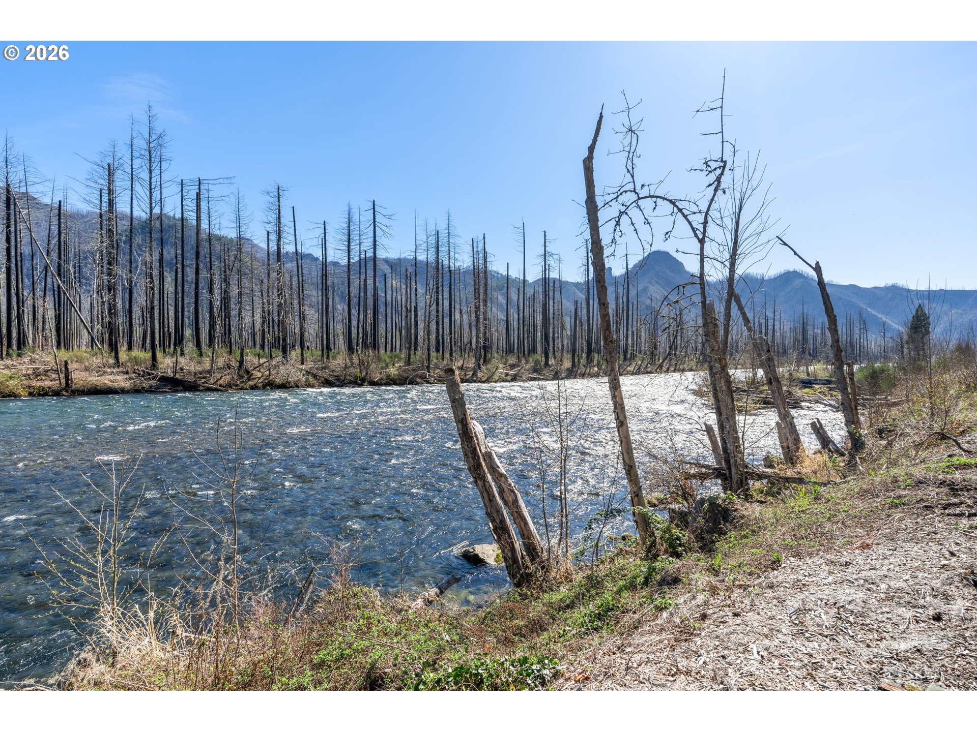 52633 Mckenzie Hwy Property Photo 33