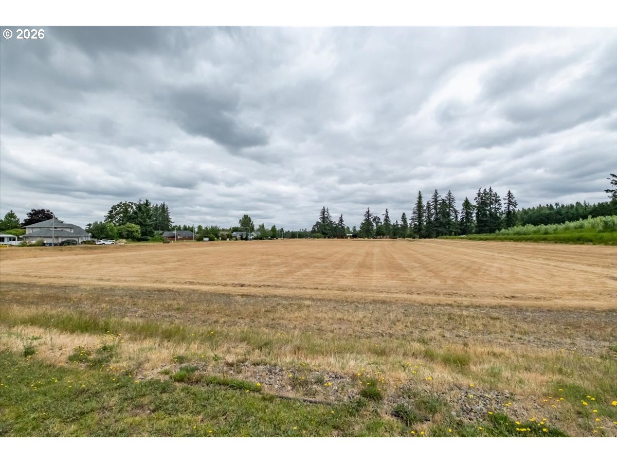 1323 Chukar St Property Photo 43
