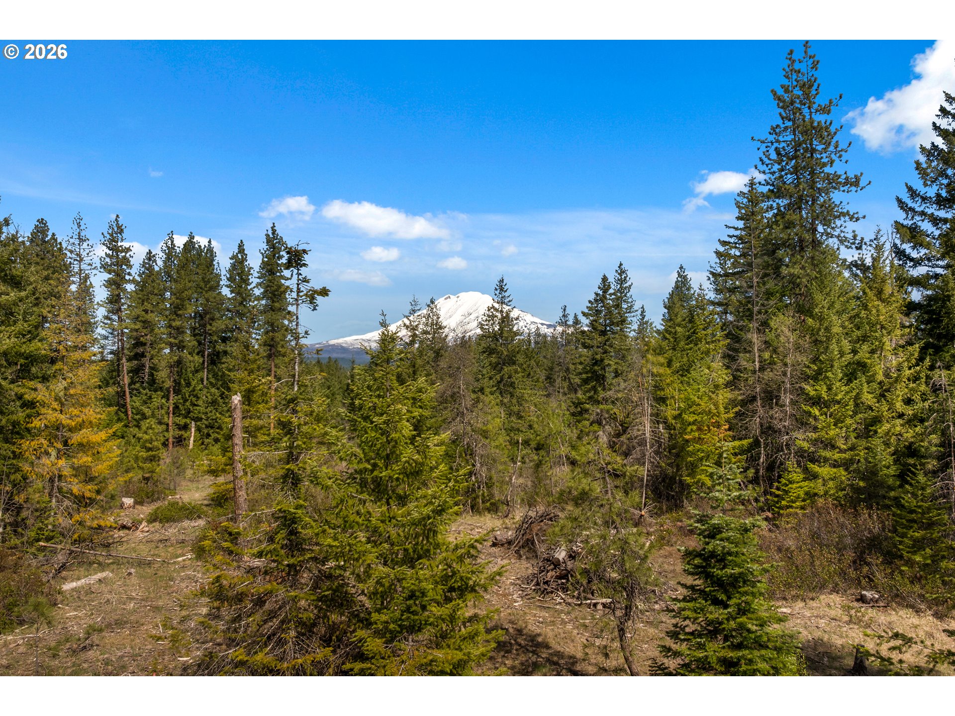 Lonesome Pines Dr 4 Property Photo 1