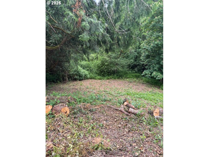 32720 Se Hurlburt Rd Property Photo 4