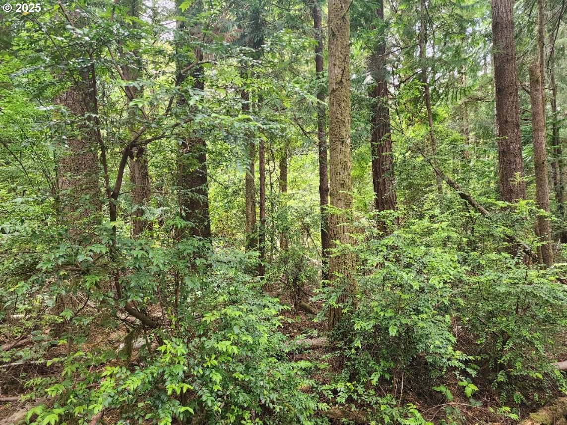 Cedar Hollow RD 2107 Property Photo 1