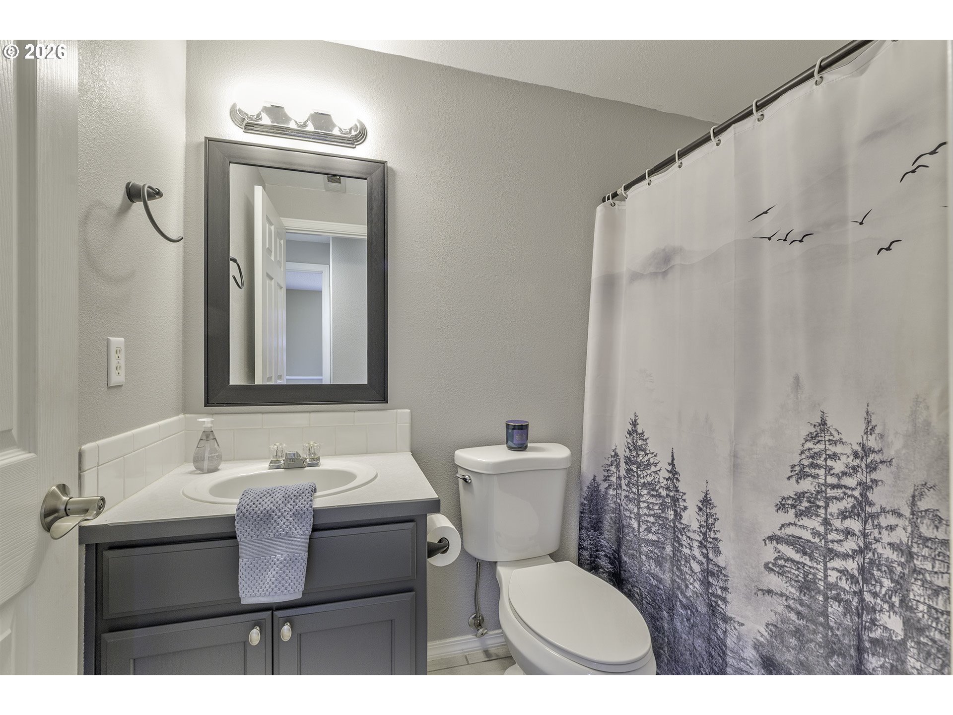 2519 Forge Dr Property Photo 26