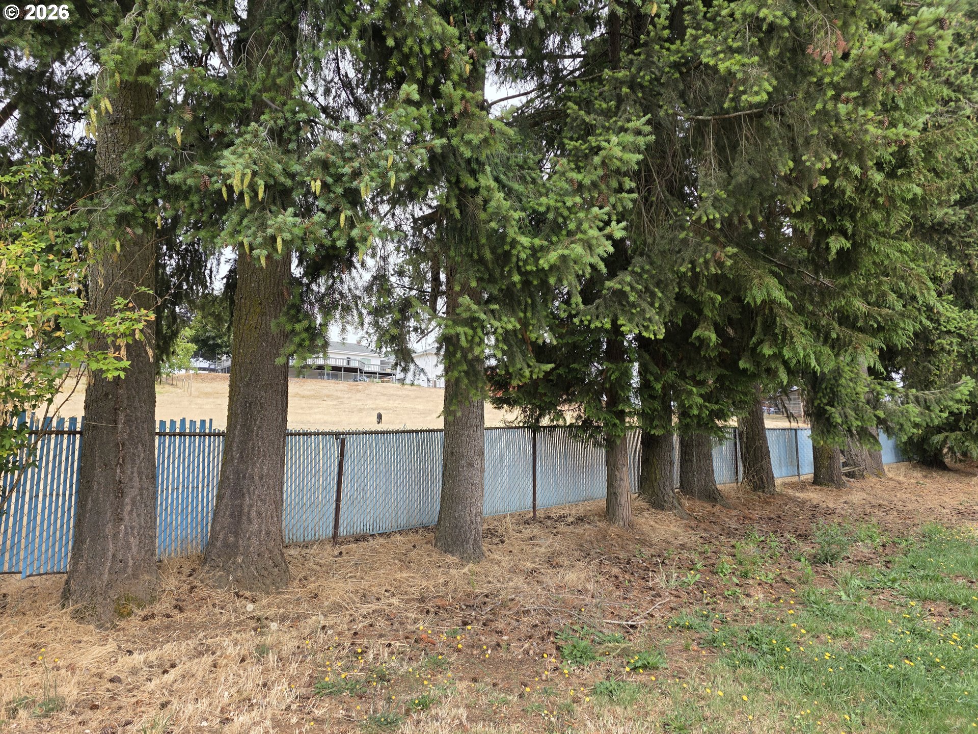 2690 Rocky Way Property Photo 6