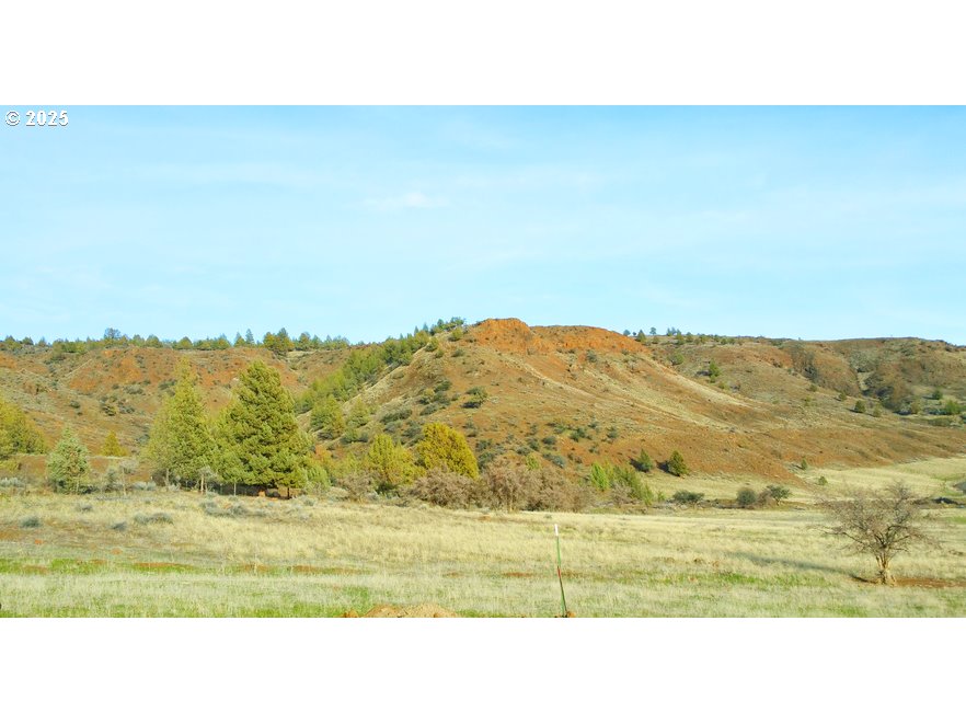 43697 Hwy 402 Property Photo 11