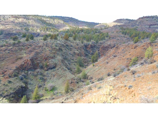 43697 Hwy 402 Property Photo 41