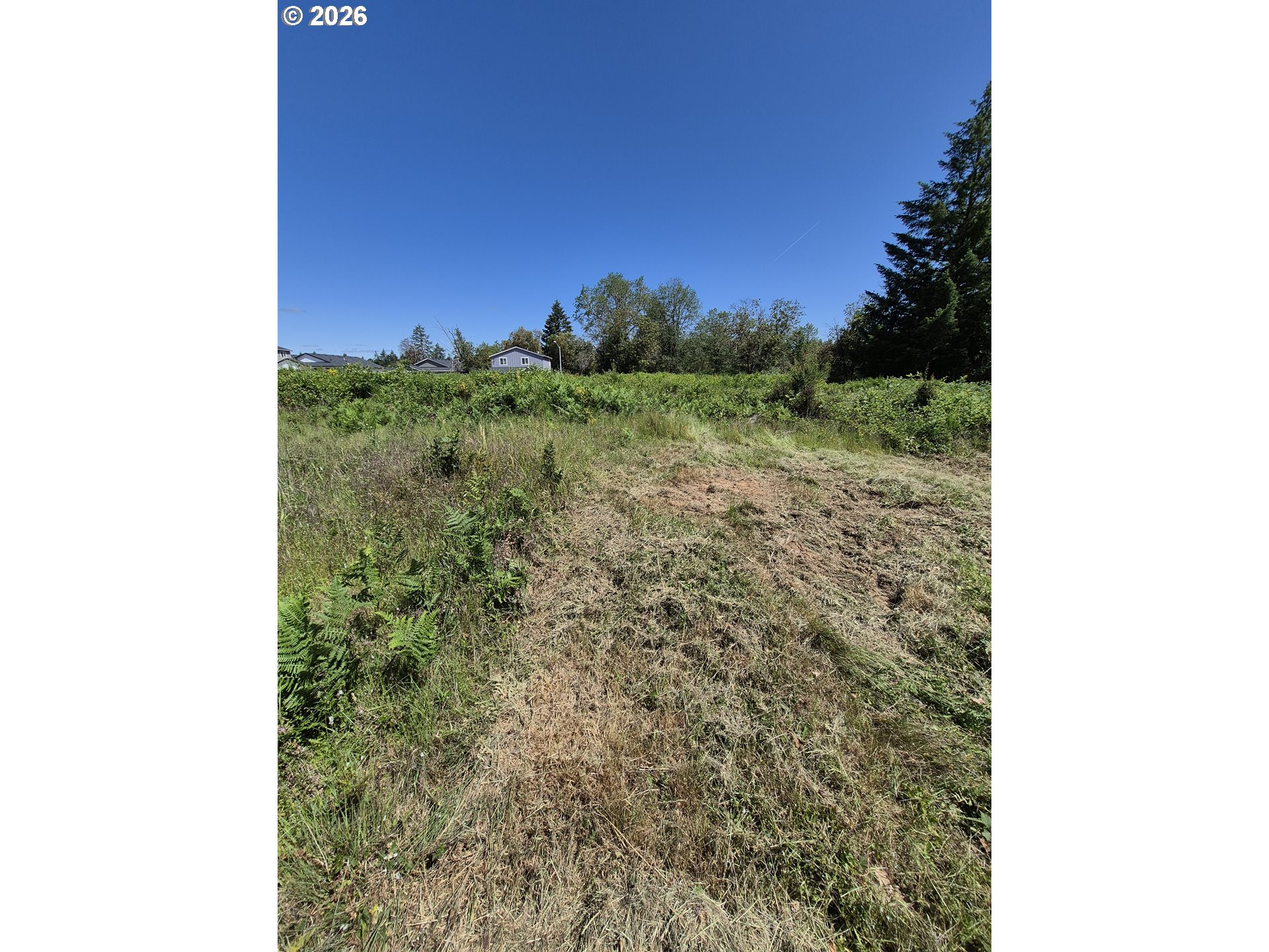 Jeans Rd Property Photo 4