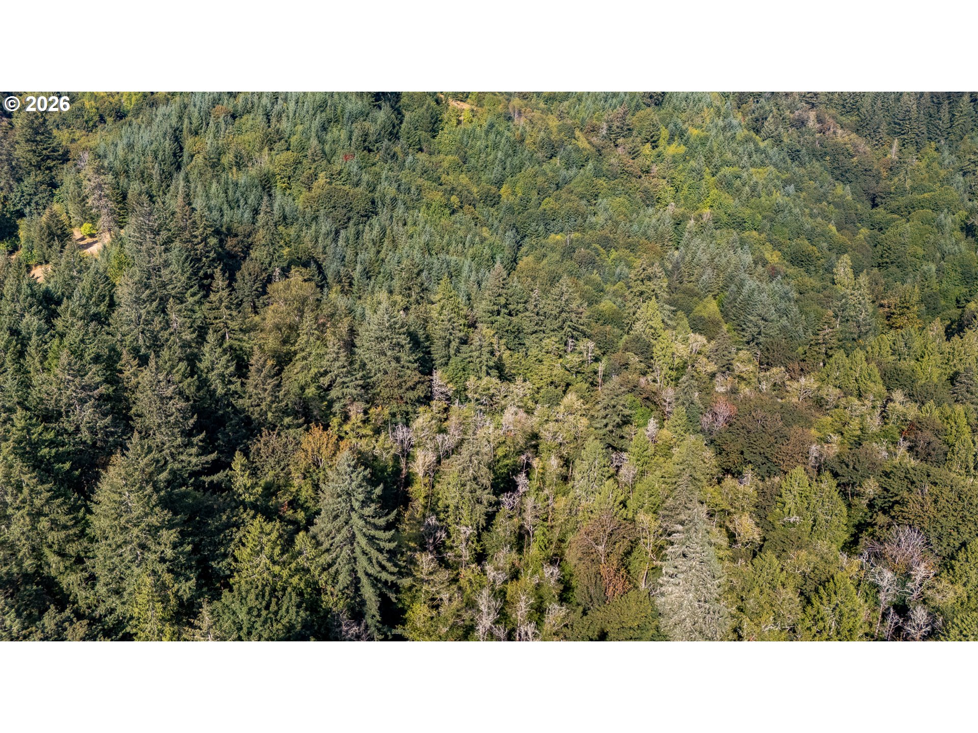 0 Nw Mcnamee Rd Property Photo 4