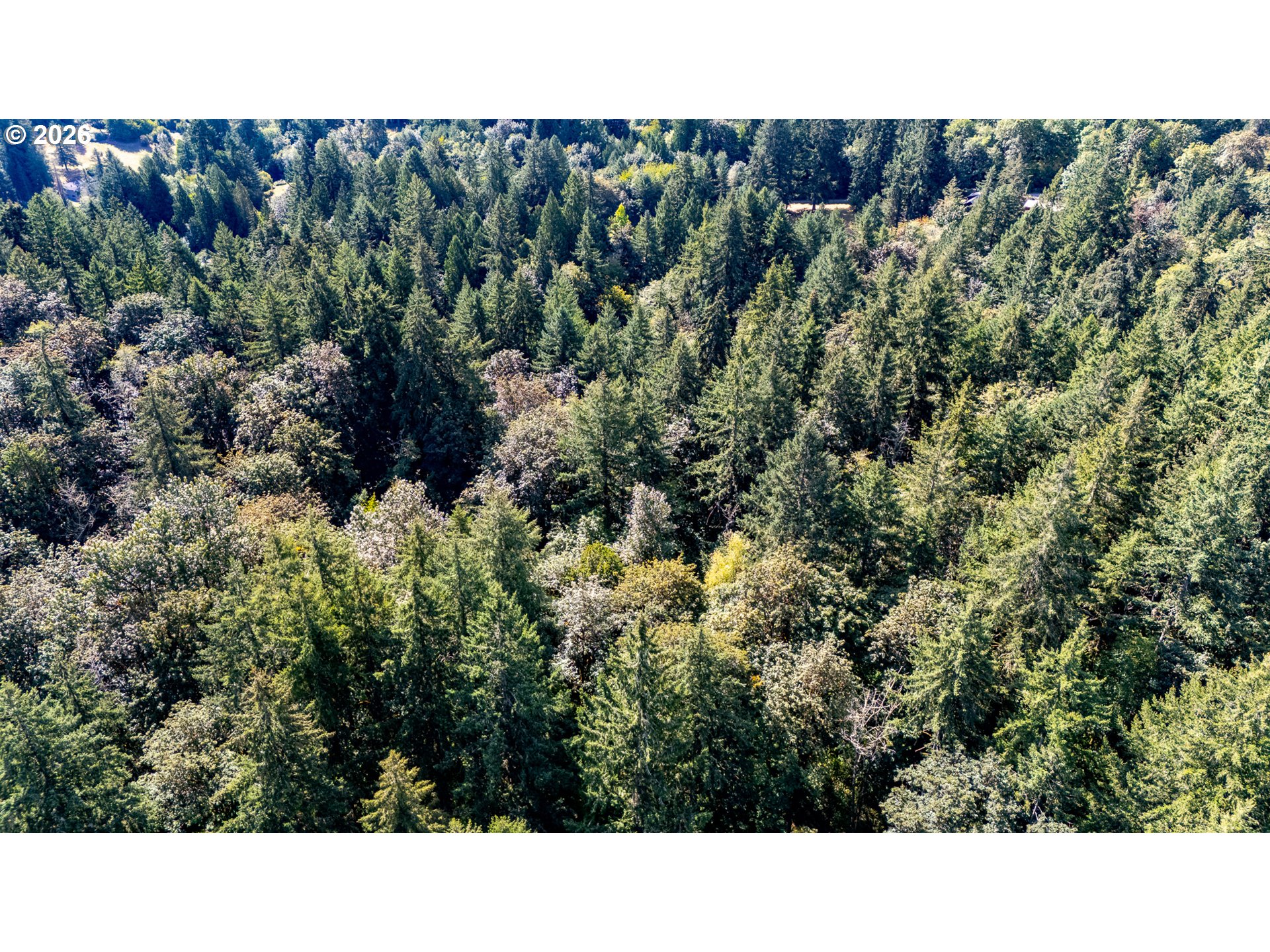 0 Nw Mcnamee Rd Property Photo 6