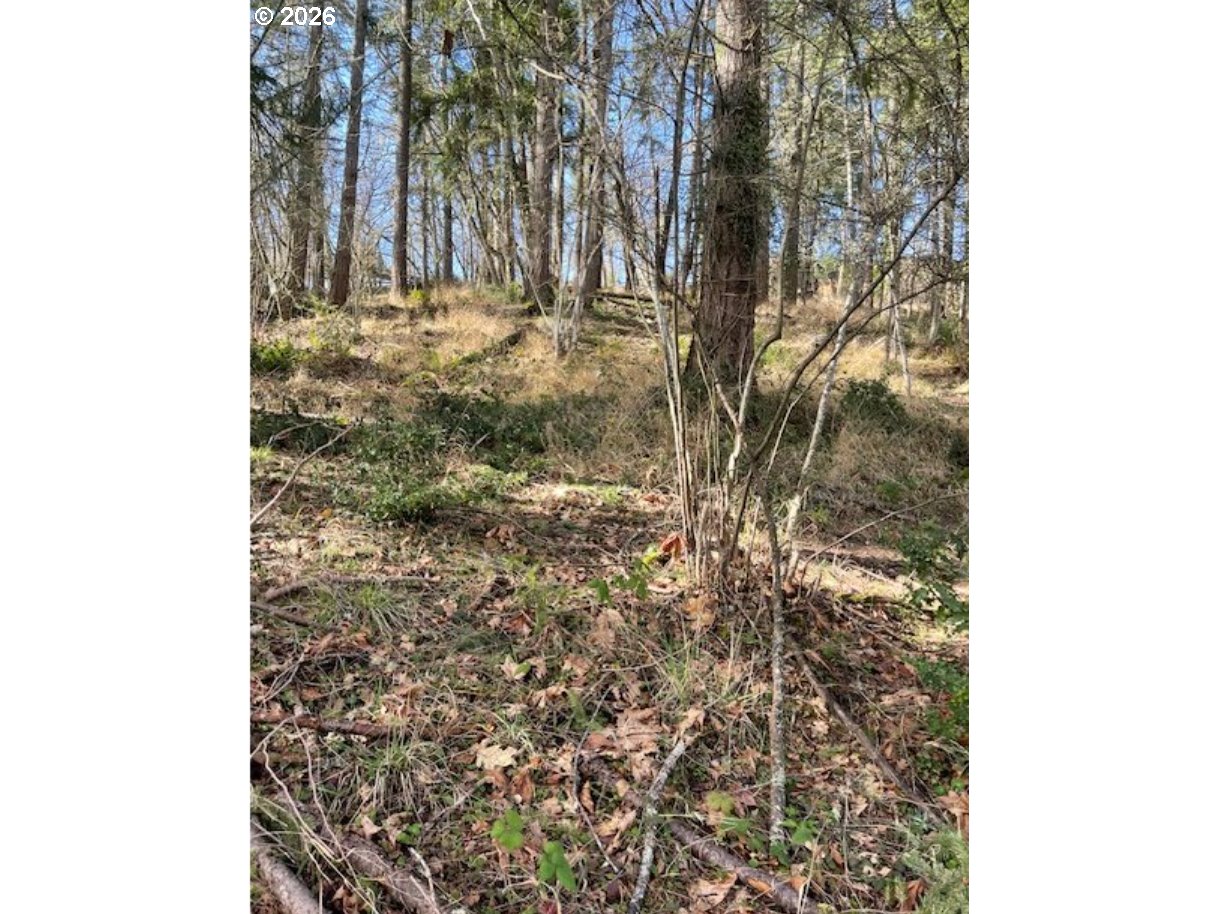 3872 MONROE ST Property Photo 1