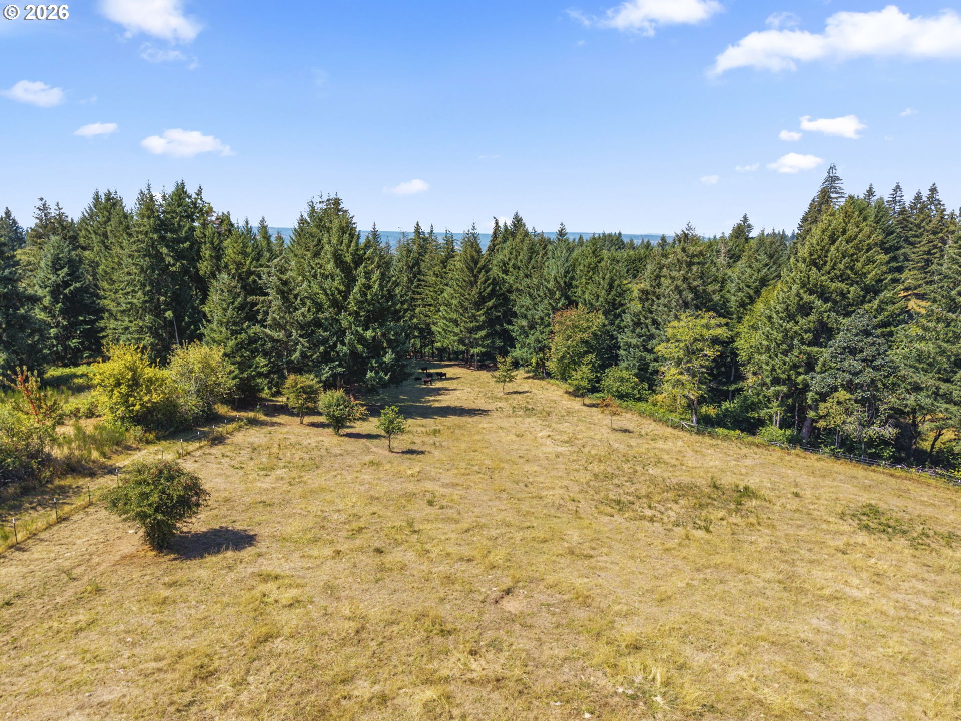 6215 Green Mountain Rd Property Photo 23