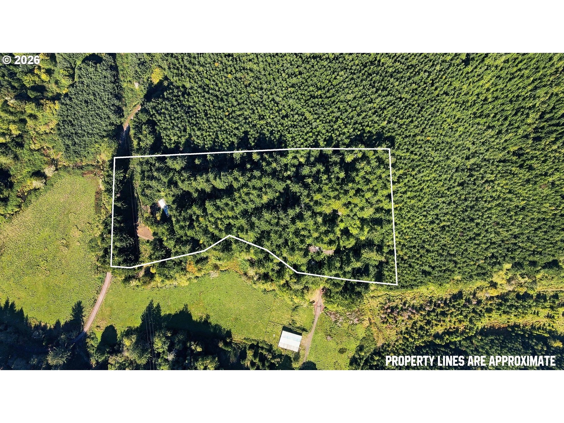 94921 Lindgren Ln Property Photo 4