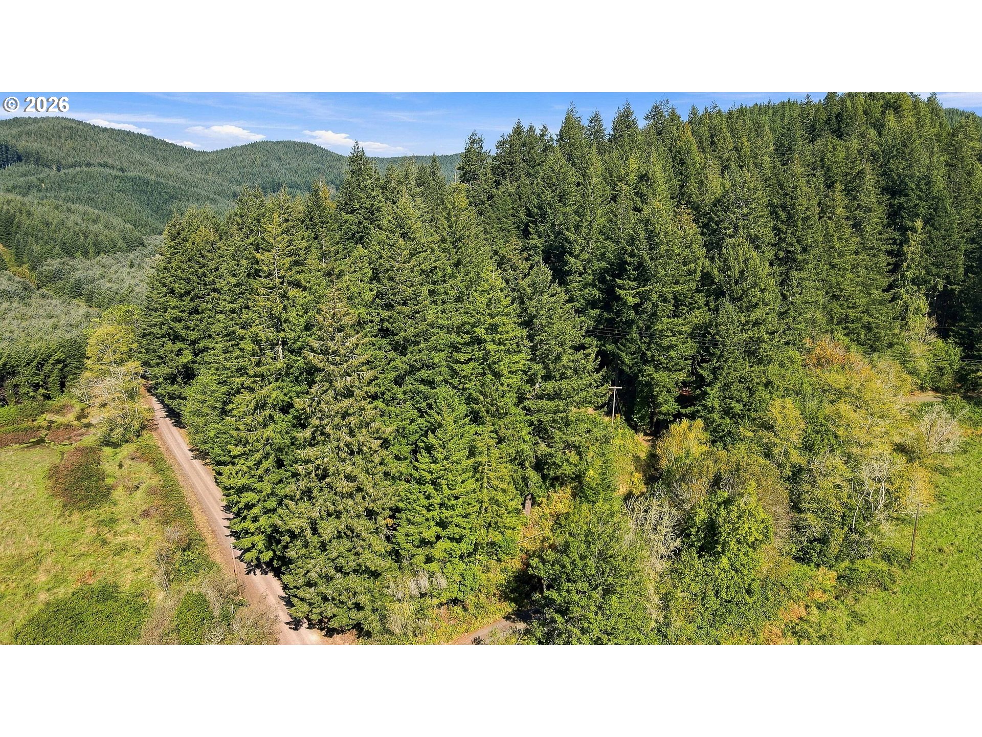 94921 Lindgren Ln Property Photo 15