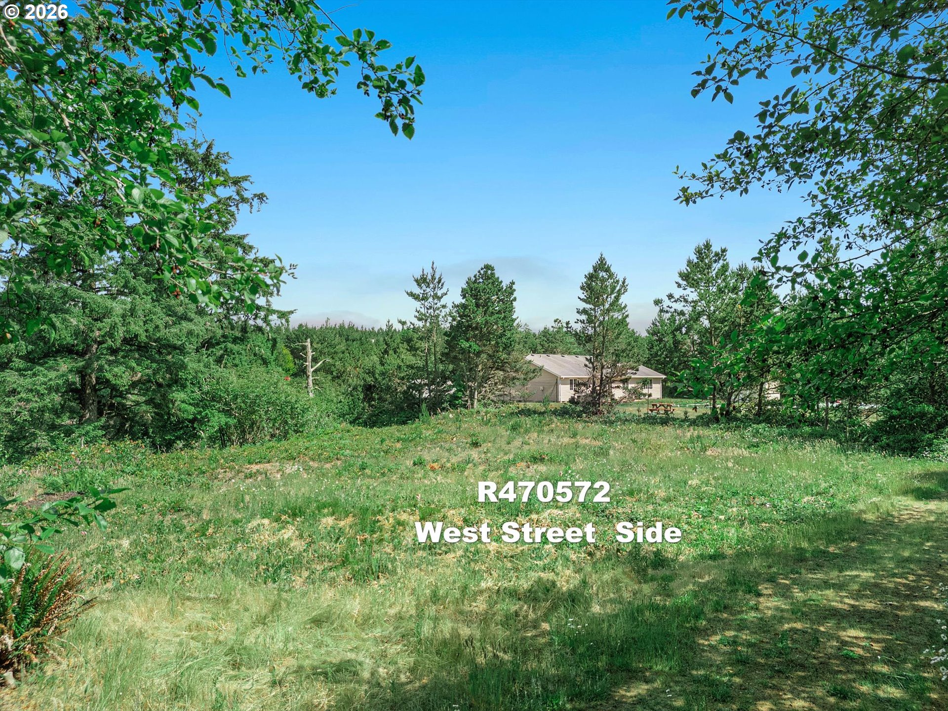 Riggen Property Photo 5