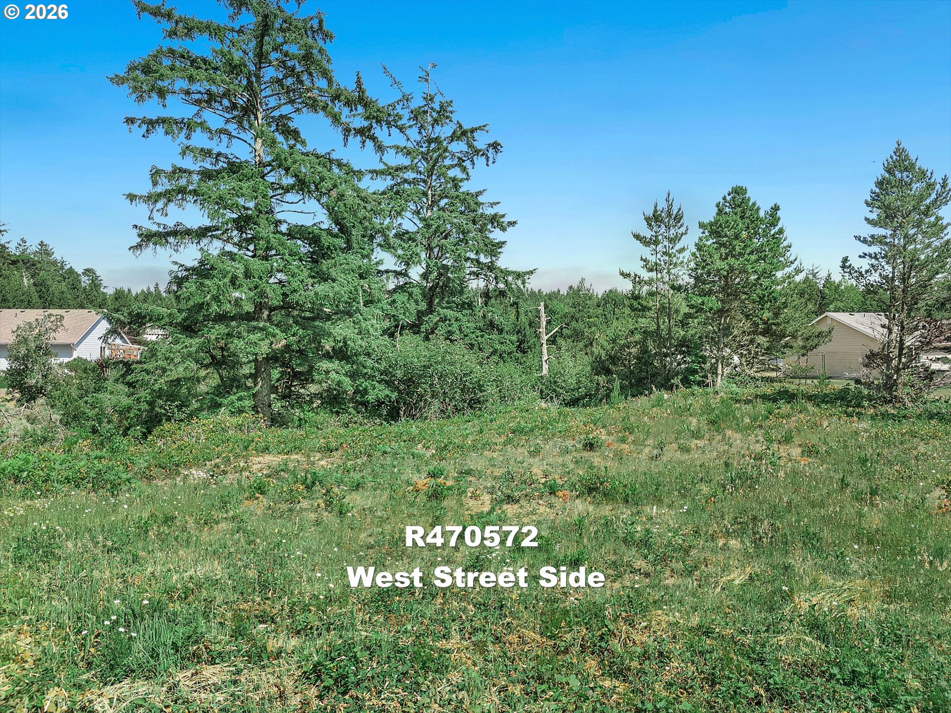 Riggen Property Photo 7